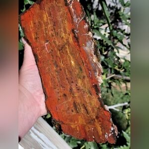 Huge Partial Polished Red Jasper Stone Slab Lapidary Specimen 5pound 12 Ounces